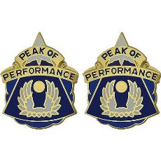 20th Aviation Battalion Unit Crest (Peak of Performance)